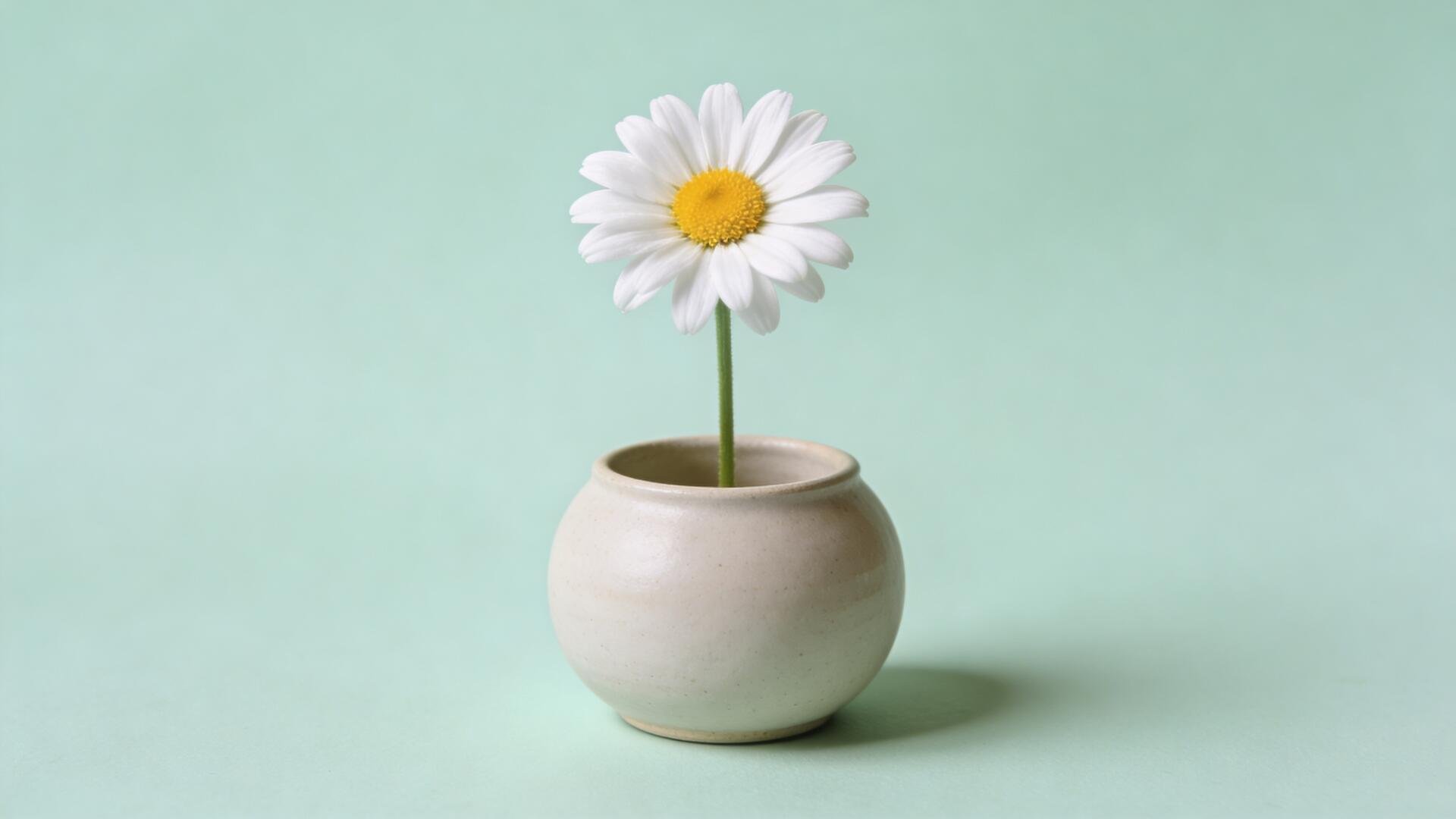 Single white daisy in a round ceramic pot on a mint backdrop — minimalist spring scene, 4K Ultra HD PC desktop wallpaper and background.