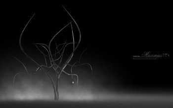 Download Gambar Wallpaper Hd Black Tree terbaru 2020