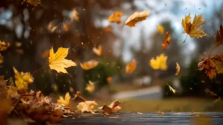 4K Ultra HD PC desktop wallpaper of fall: golden leaves falling and swirling over a wet path with blurred autumn trees in the background.