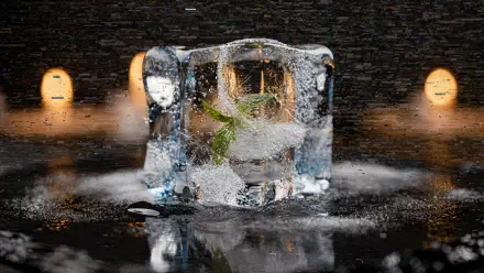 Melting ice cube encasing a small green leaf on a reflective surface, moody bokeh lights behind — high-detail 4K Ultra HD PC desktop wallpaper and background.