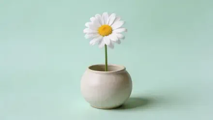 Single white daisy in a round ceramic pot on a mint backdrop — minimalist spring scene, 4K Ultra HD PC desktop wallpaper and background.