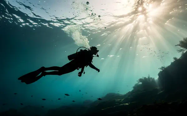 Silhouetted scuba diver drifting above a reef under shafts of sunlight — underwater photography, 4K Ultra HD PC desktop wallpaper and background.