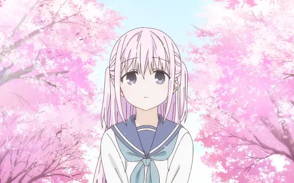 Anime HD PC desktop wallpaper showing inexpressive Kashiwada beneath pink cherry blossoms, evoking the Inexpressive Kashiwada and Expressive Oota duo.