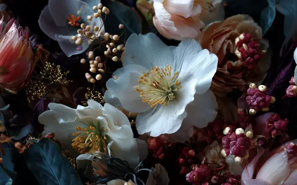 Close-up winter flower arrangement of white blossoms, dried berries and muted foliage — 4K Ultra HD PC desktop wallpaper/background.