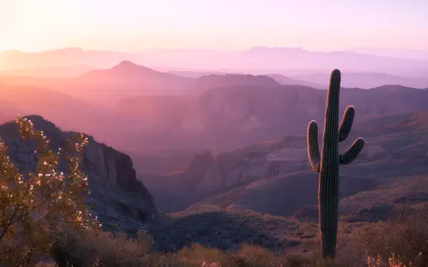 2K Quad HD PC desktop wallpaper: panoramic canyon and mountain ranges at sunrise with a tall cactus silhouette in the foreground.