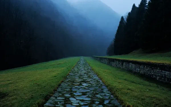 5K Ultra HD PC desktop wallpaper of a cobblestone mountain trail cutting through foggy, dark woods and stormy, mist-shrouded peaks.