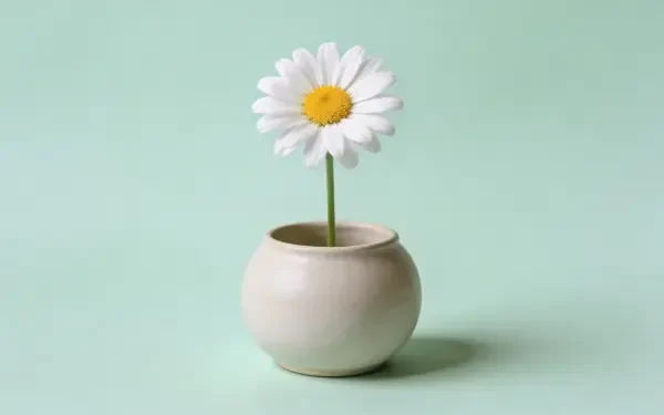 Single white daisy in a round ceramic pot on a mint backdrop — minimalist spring scene, 4K Ultra HD PC desktop wallpaper and background.