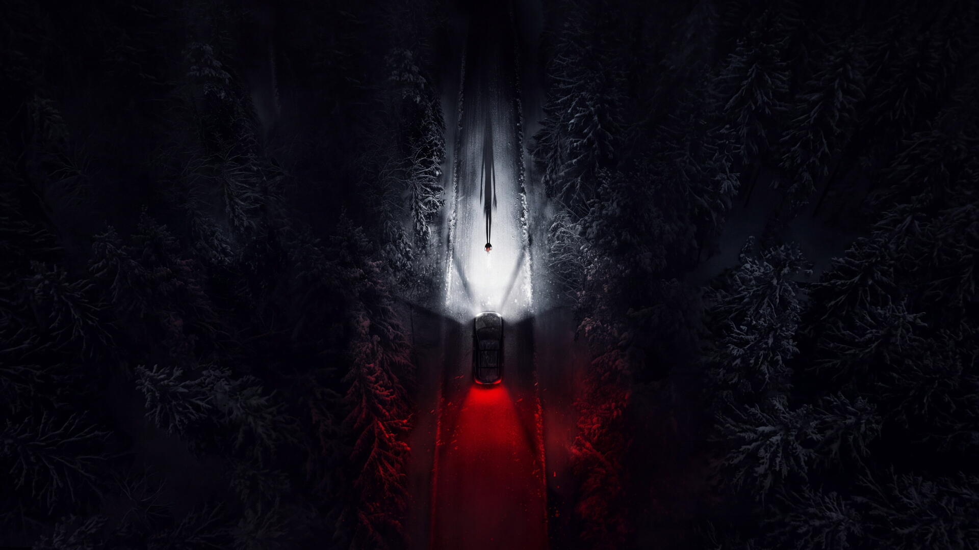 Resident Evil: Night Zero 4K Ultra HD PC desktop wallpaper and background — white searchlight pierces a dark pine forest, revealing a blood-red road and a tense, eerie atmosphere.
