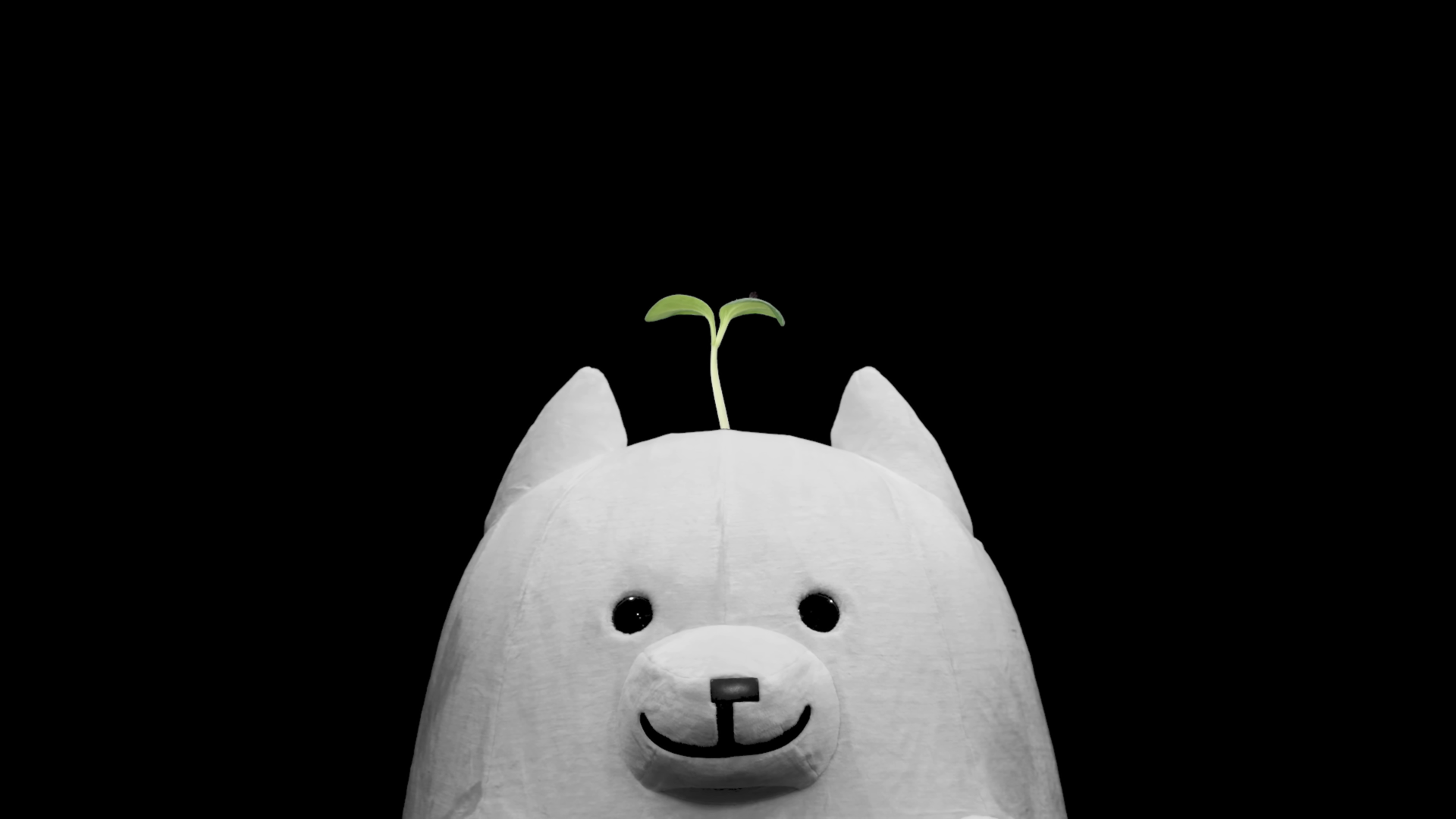 Deltarune-style white plush cat toy with a tiny sprout on its head, smiling stuffed animal on a black backdrop — 4K Ultra HD PC desktop wallpaper.