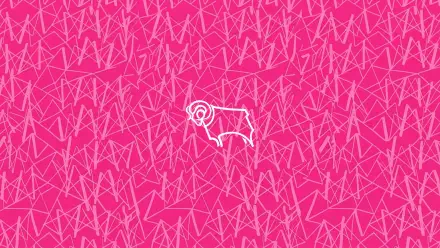 Derby County F.C. white ram logo centered on a bright pink geometric patterned background — 2K Quad HD PC desktop wallpaper and background.