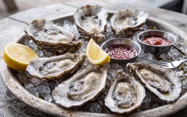 Fresh oysters on ice with lemon and sauces, featured in a 5K Ultra HD PC desktop wallpaper and background.