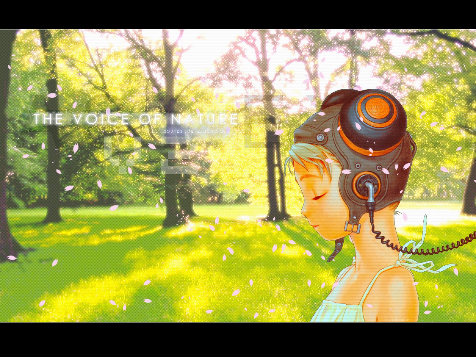 HD anime desktop wallpaper featuring a serene scene from Last Exile, showing a character with a futuristic headset surrounded by sunlight filtering through green trees.