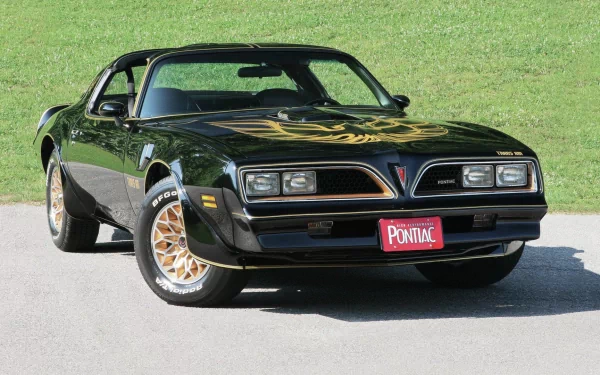 Black Pontiac Trans Am with gold Firebird hood decal and gold wheels parked on pavement, photographed as an HD PC desktop wallpaper/background.