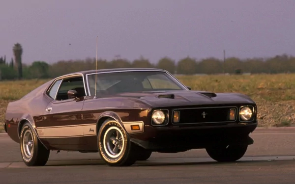  1973 Mustang Mach I