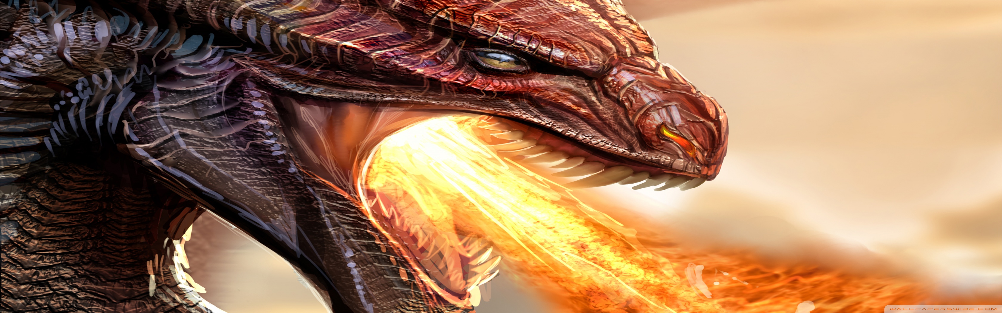 Fire Breathing Dragon Wallpapers Wallpaper Cave Wallpaper Depository: