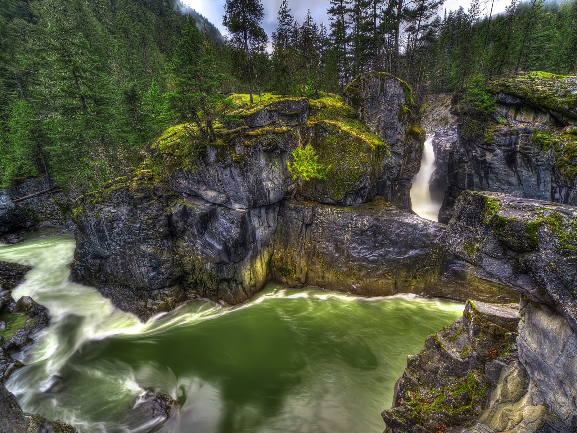 HD PC desktop wallpaper: nature waterfall cascading through a mossy rocky gorge into a swirling emerald pool, framed by dense evergreen forest.