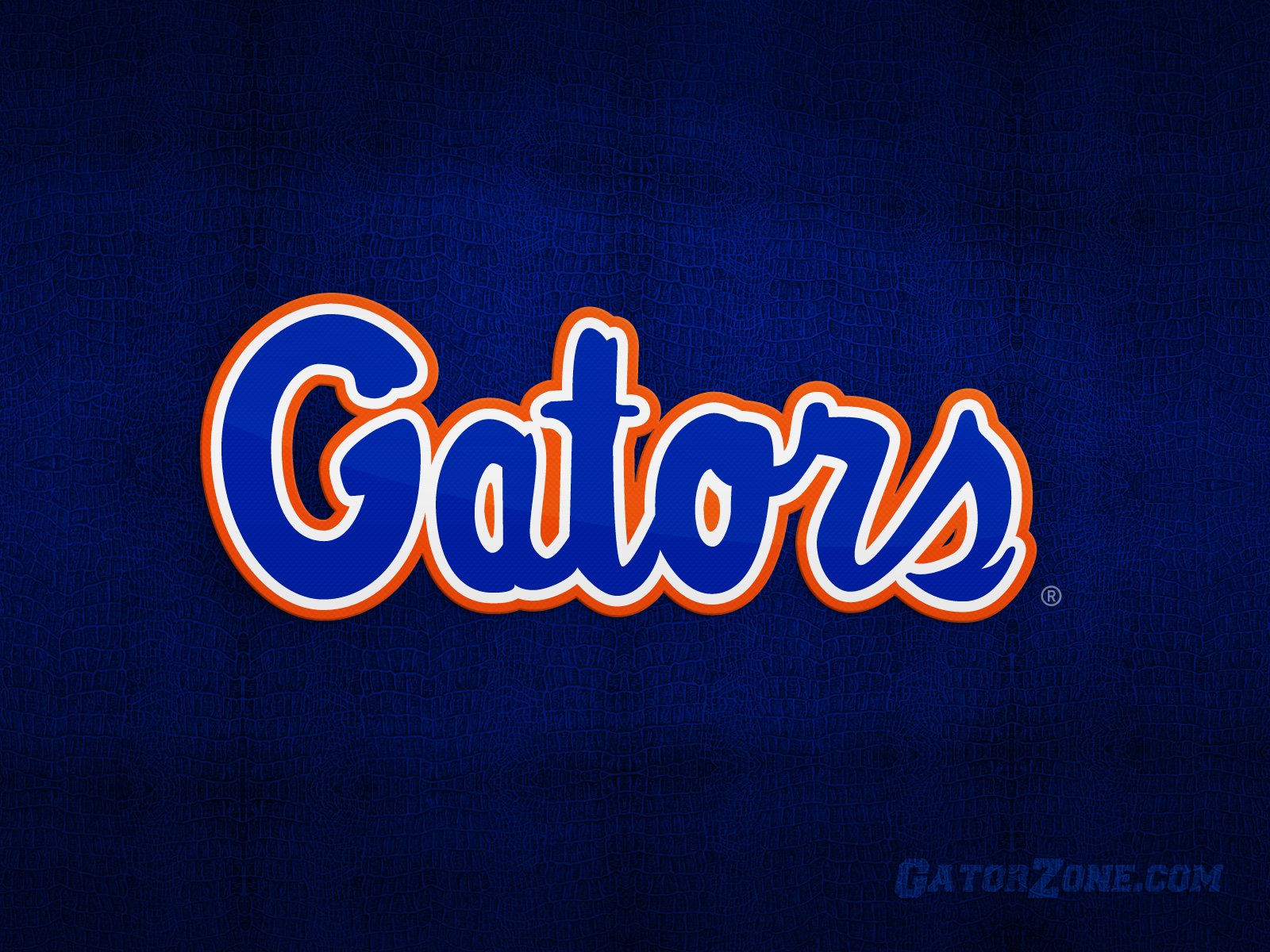 Wallpaper  1920x1080 px college Florida football gators 1920x1080   4kWallpaper  1770919  HD Wallpapers  WallHere