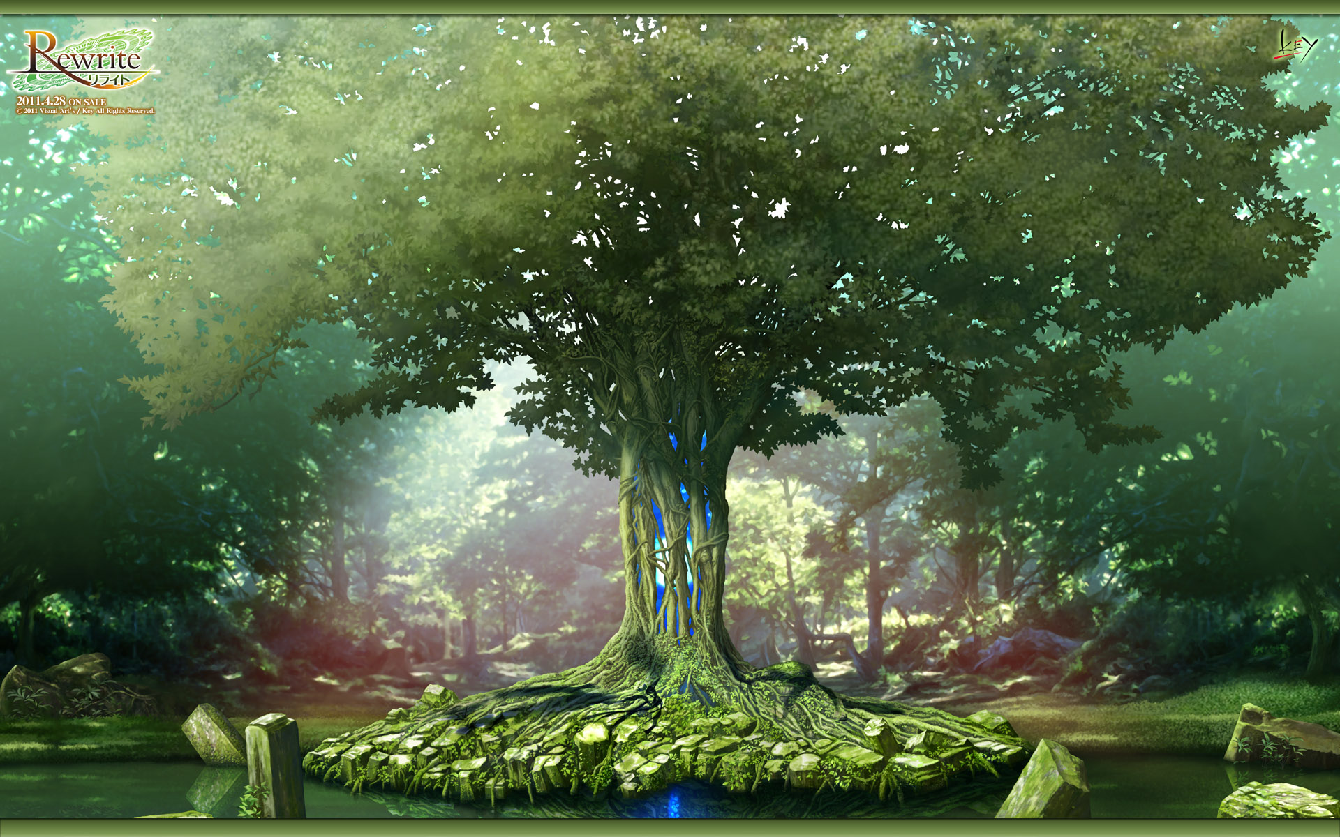 Fantasy Forest HD Wallpaper | Background Image