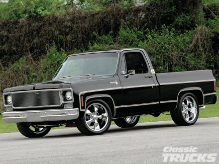 HD PC desktop wallpaper background featuring a sleek black classic pickup truck vehicle with chrome rims parked on a roadside against a green foliage backdrop.