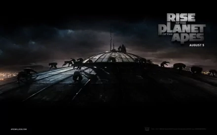 movie rise of the planet of the apes HD Desktop Wallpaper | Background Image
