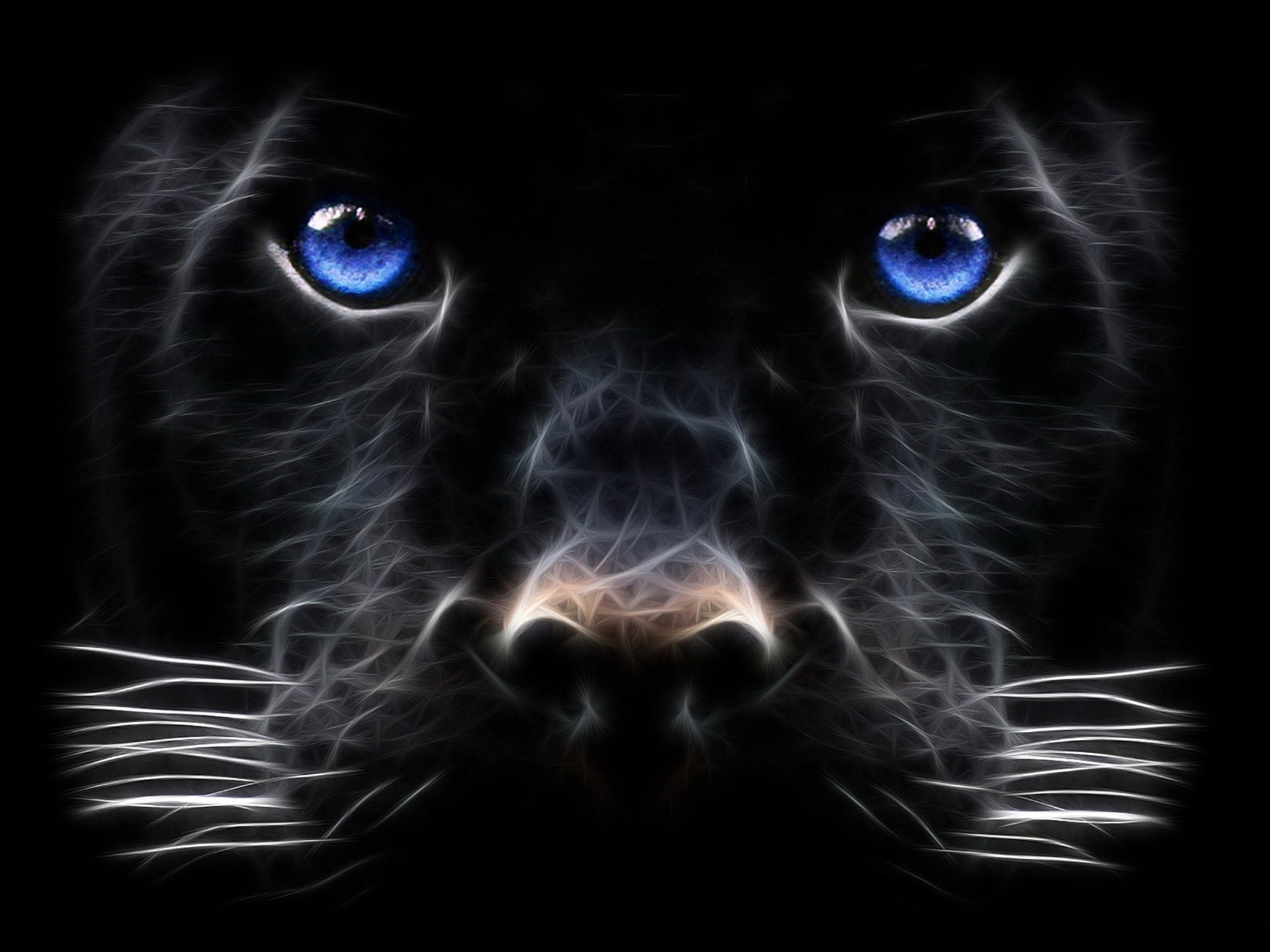 Black Panther 3d Wallpaper Download Image Num 24