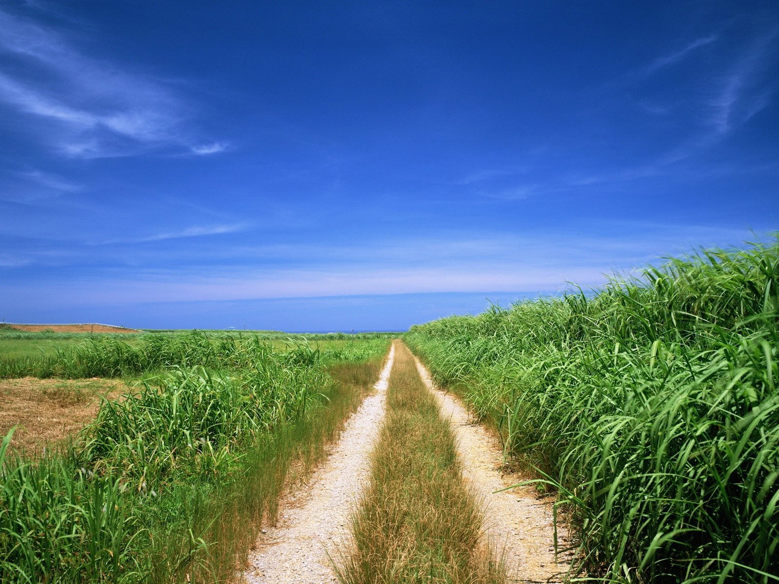 Download Man Made Road Wallpaper