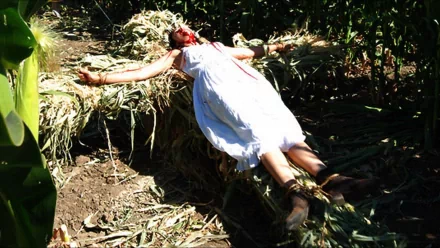 movie children of the corn: genesis HD Desktop Wallpaper | Background Image