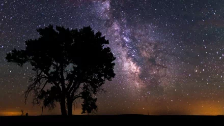 HD PC desktop wallpaper featuring a vivid Milky Way galaxy against a night sky with a silhouetted tree, blending sci-fi ambiance with cosmic wonder.