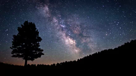 A stunning HD desktop wallpaper featuring the Milky Way, illuminated against a dark sky, with a silhouette of a tree and distant hills creating a serene sci-fi atmosphere.
