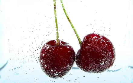 food cherry HD Desktop Wallpaper | Background Image