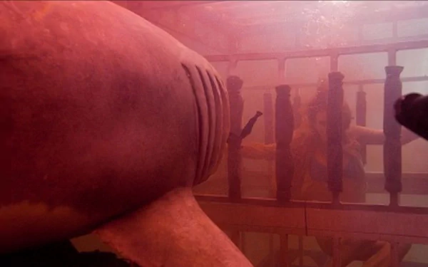 movie Shark Night HD Desktop Wallpaper | Background Image