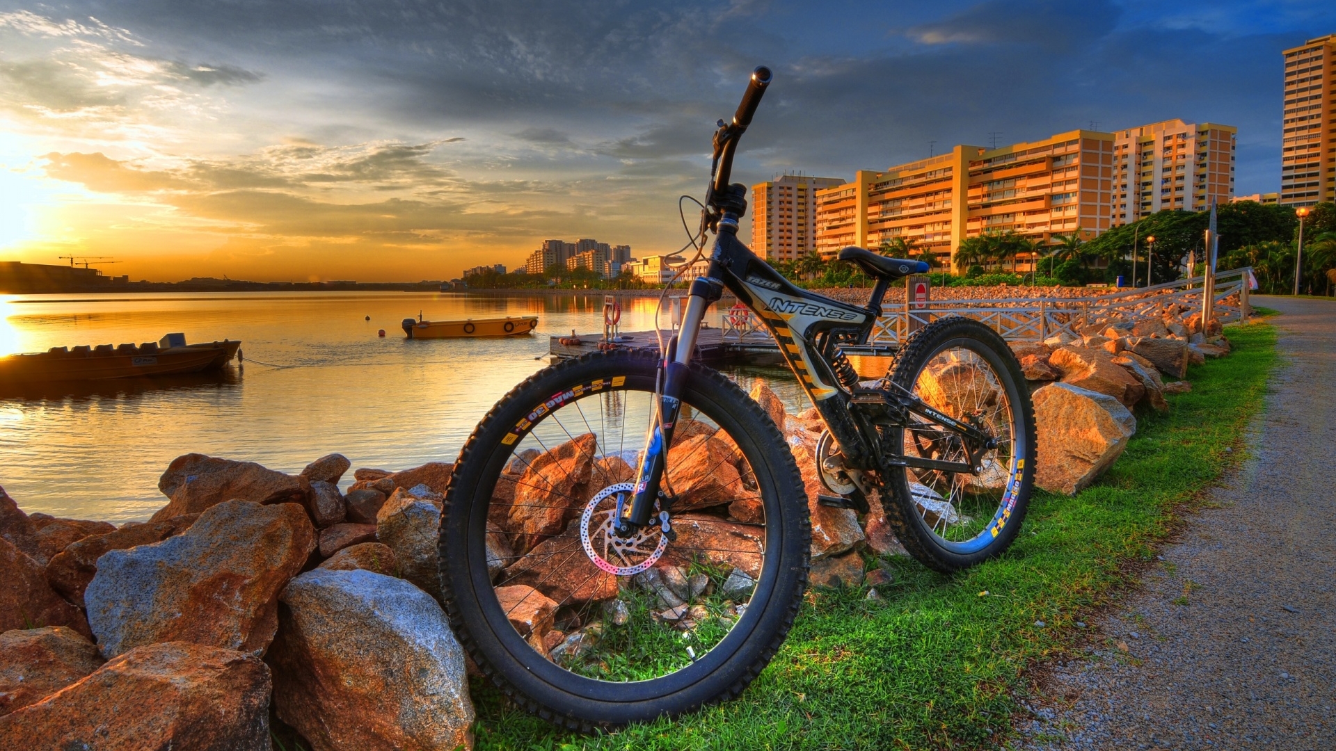 A colorful bicycle parked amidst a beautiful scenic view.