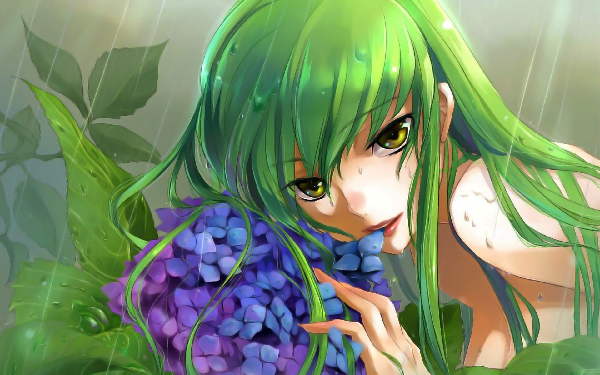 A vibrant HD wallpaper featuring C.C. from Code Geass, with her striking green hair and enigmatic expression, surrounded by lush greenery and blooming purple flowers.