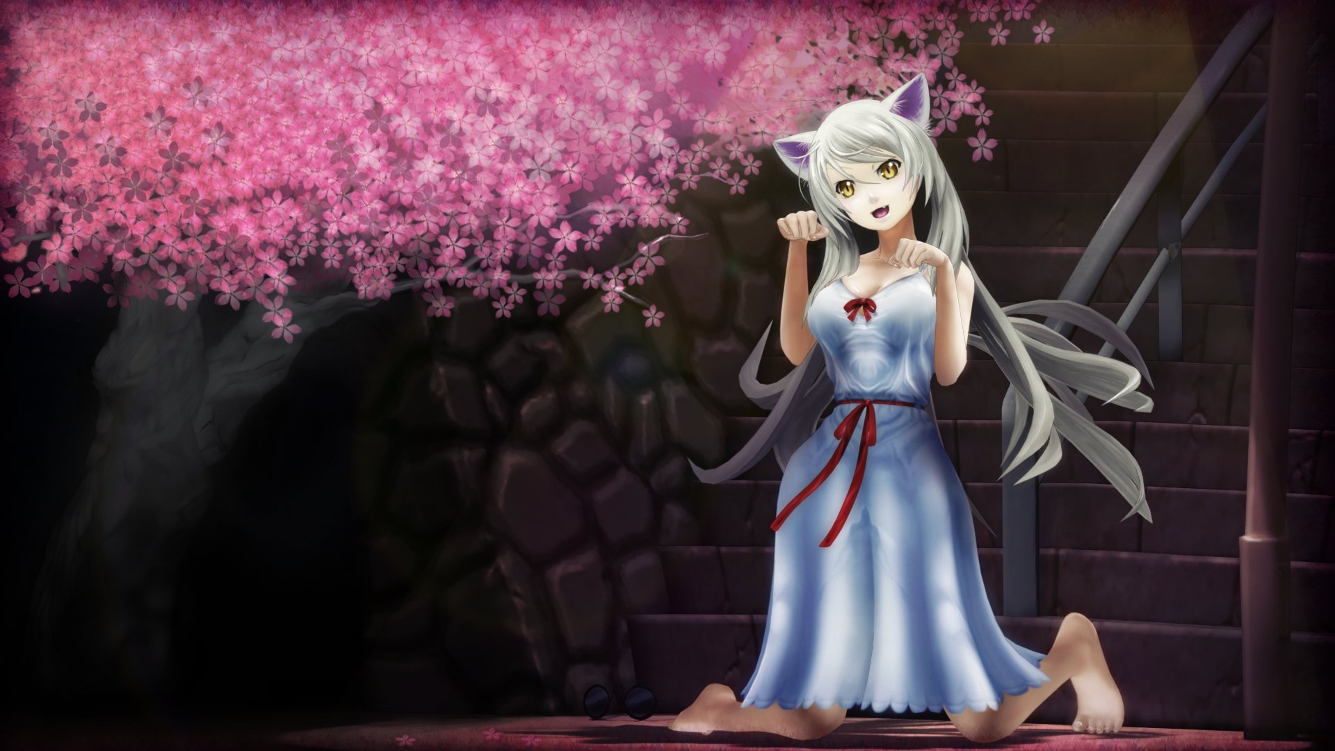  neko  HD  Wallpaper  Background Image 1920x1080 ID 