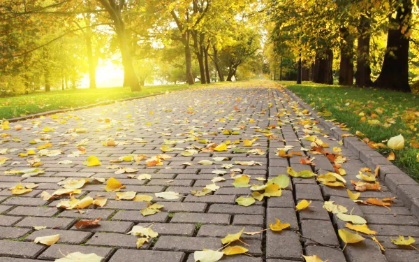 HD photography of a sunlit fall scene with a brick pathway covered in yellow leaves, surrounded by trees in a park, capturing the serene beauty of autumn.