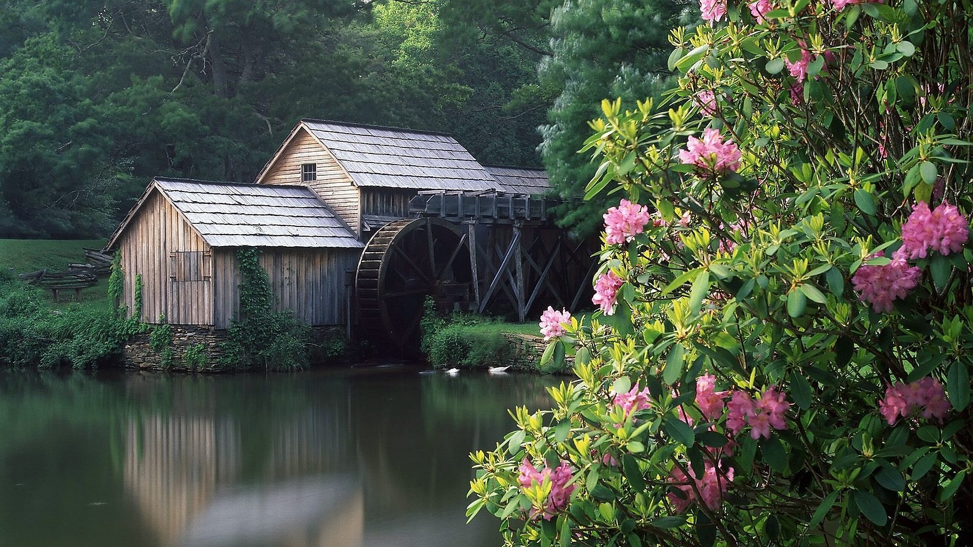 HD PC desktop wallpaper featuring a serene man-made watermill beside a calm pond, surrounded by lush greenery and blooming pink flowers.