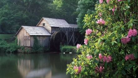man made watermill HD Desktop Wallpaper | Background Image