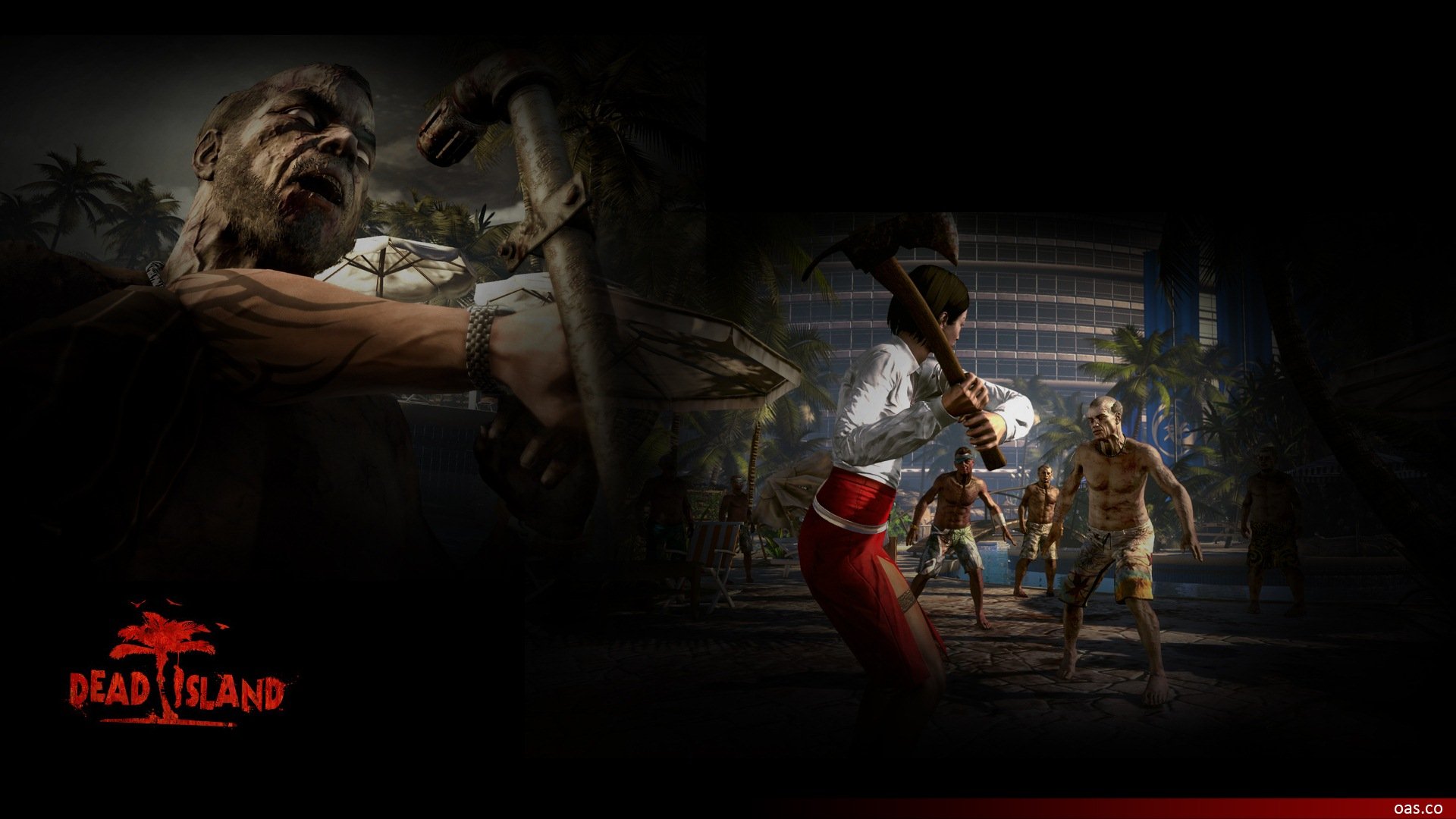Download Video Game Dead Island HD Wallpaper