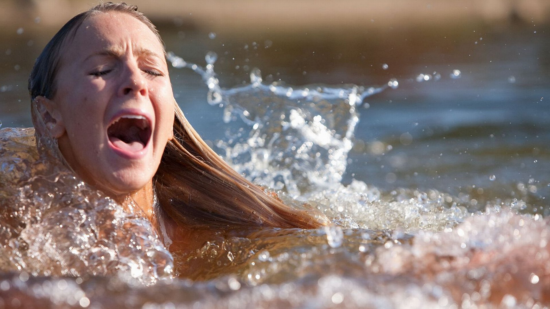 Download Movie Shark Night 4k Ultra HD Wallpaper