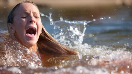 movie Shark Night HD Desktop Wallpaper | Background Image