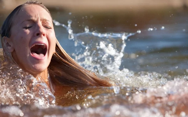 movie Shark Night HD Desktop Wallpaper | Background Image