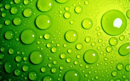 HD desktop wallpaper featuring an abstract close-up of green water droplets and dots on a vibrant green surface.