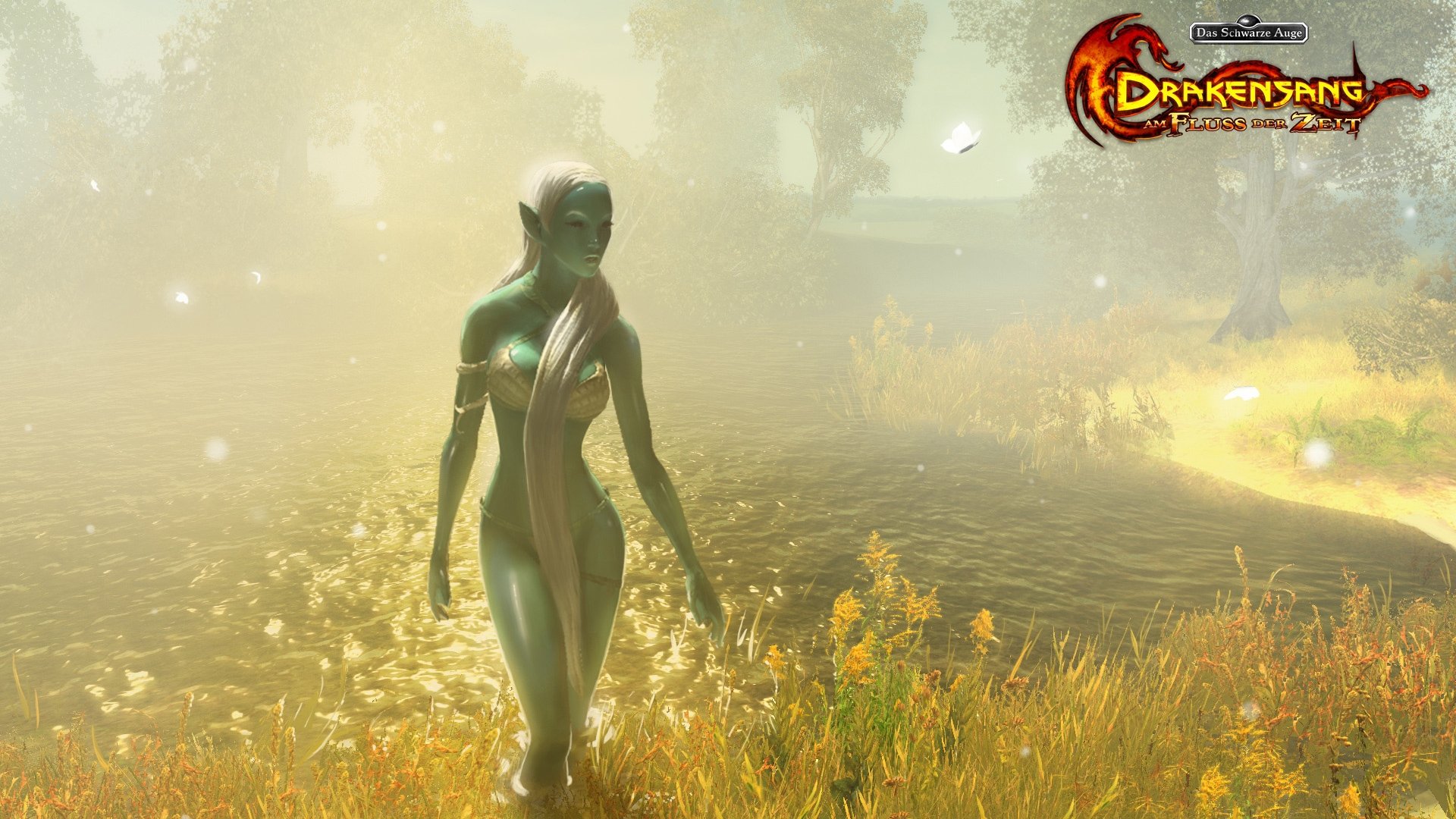 Download Video Game Drakensang Online HD Wallpaper