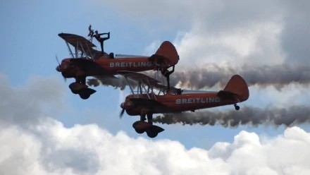  Pair of Seahwak with girls