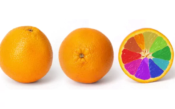  Rainbow Oranges