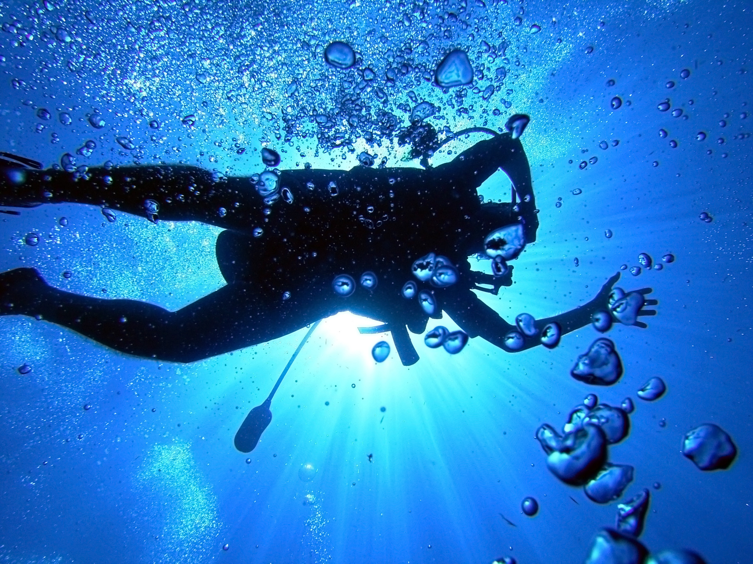 Underwater Exploration: Scuba Diving HD Wallpaper by QuantumCurator