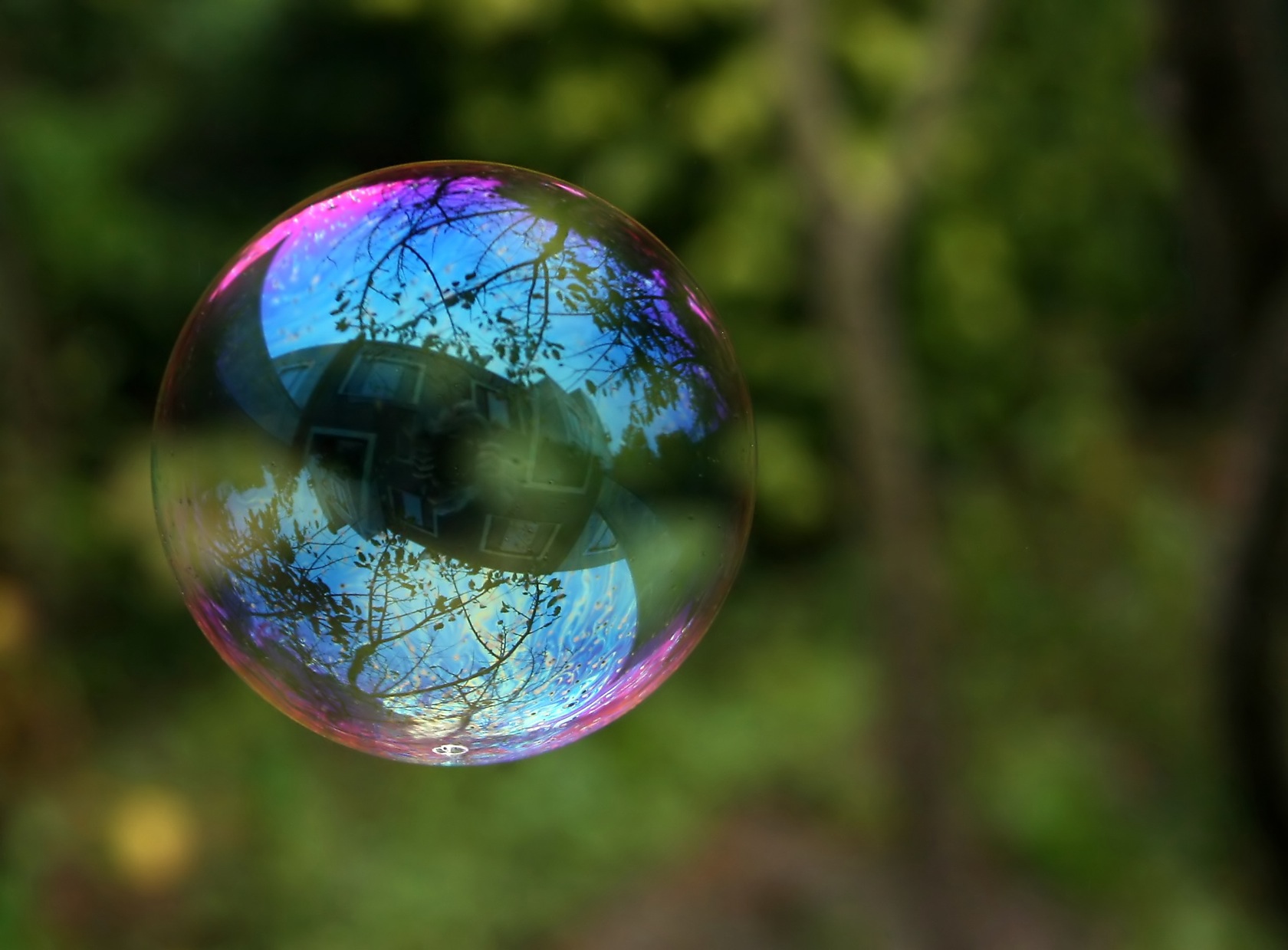 Photography Bubble HD Wallpaper | Background Image