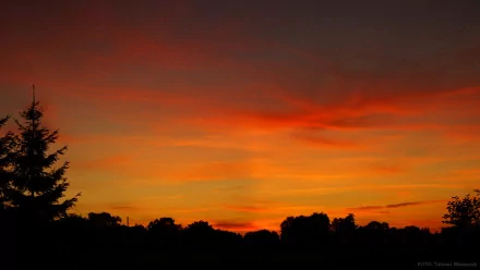 nature sunset HD Desktop Wallpaper | Background Image