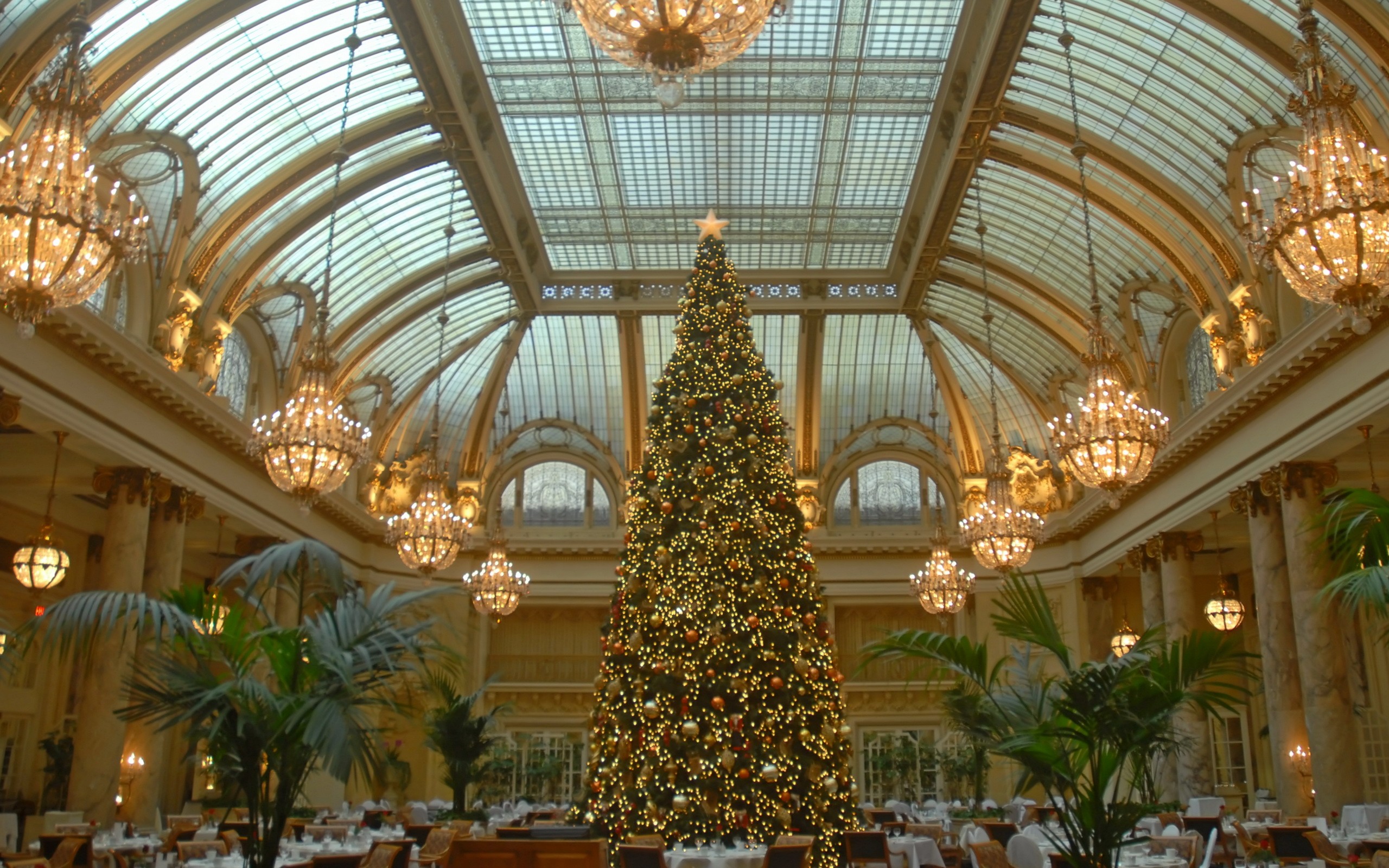 5 Ways Palace Hotel Celebrates Christmas 2024