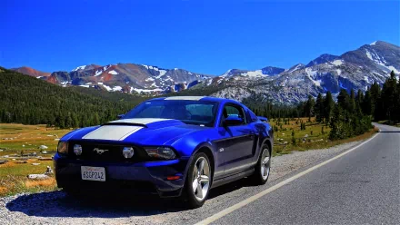 vehicle Ford HD Desktop Wallpaper | Background Image